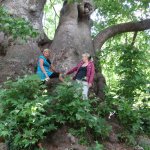 ������� � ������