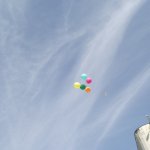 ������������ ����� �������� � ������ ��������!