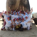 ������ � ����� �� ����� ���������� �������� ������� ������ 2012 �.