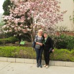 ������� � ����� �� ����������� ���������� 2014-2015 ��.