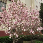 ������� � ����� �� ����������� ���������� 2014-2015 ��.