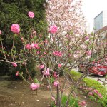 ������� � ����� �� ����������� ���������� 2014-2015 ��.