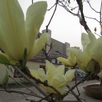 ������� � ����� �� ����������� ���������� 2014-2015 ��.