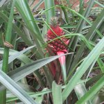 ����������� � ��������� ���-�����