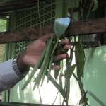 ����������� � ��������� ���-�����