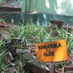 ����������� � ��������� ���-�����