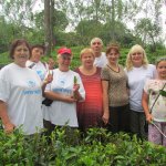 ����������� � ��������� ���-�����