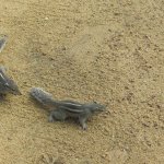 ����������� � ��������� ���-�����