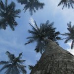 ����������� � ��������� ���-�����