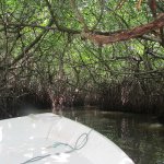 ����������� � ��������� ���-�����