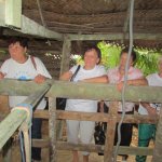 ����������� � ��������� ���-�����