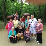 ������� ������� � ���������� ���������� "�������-����"