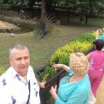 ������� ������� � ���������� ���������� "�������-����"