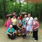 ������� ������� � ���������� ���������� "�������-����"