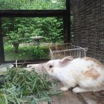 ������� ������� � ���������� ���������� "�������-����"