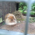 ������� ������� � ���������� ���������� "�������-����"