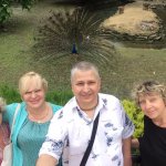 ������� ������� � ���������� ���������� "�������-����"