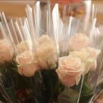 ��������� ����� ���� 2019 ���